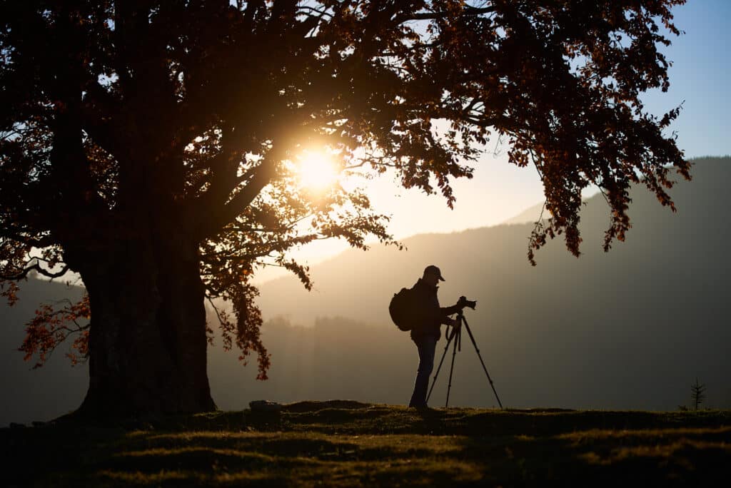 Tourist photographer standing under big tree at sunset. Getting ready for a nature photography blog.