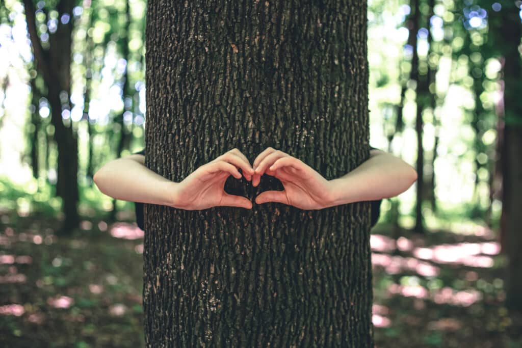 Women's hands hugging a tree in the forest.