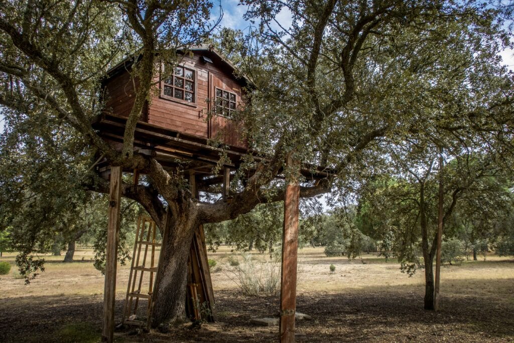 Sustainable romantic getaways. A low angle shot of a wooden treehouse with windows in the middle of a forest under a blue sky