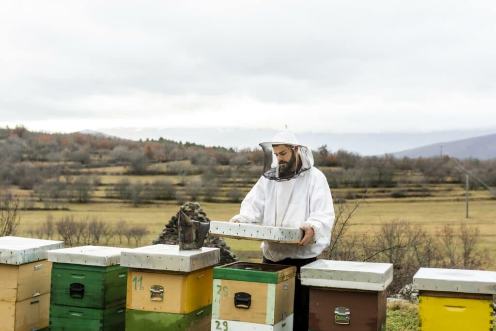 Did you know this about bees? - Beekeeper working.