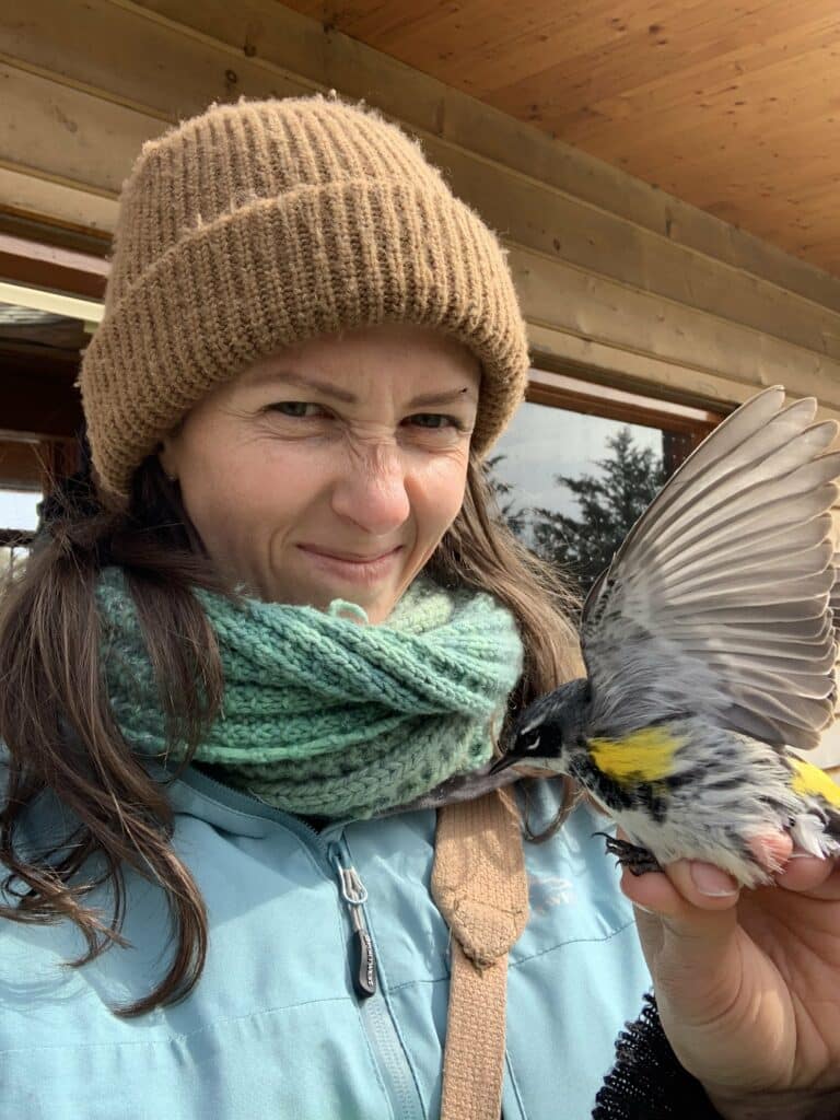 A person wearing an orange hat and green scarf is scrunching up their face with joy as they hold a yellow rumped warbler with its wings spread.